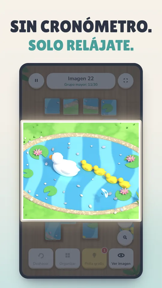 Picture Chain — Capturas 8